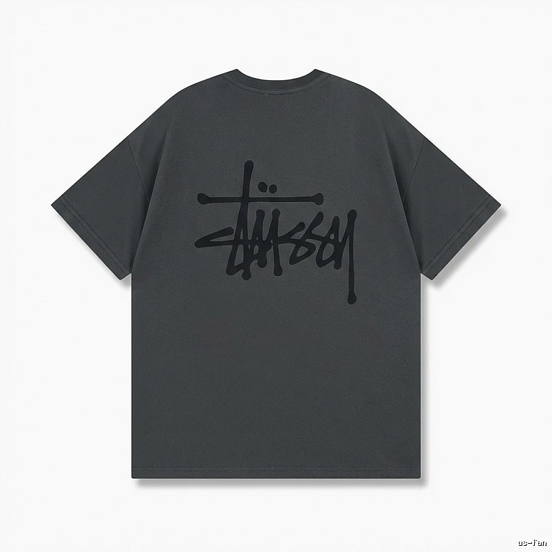 Stussy basic street style gray T-shirt